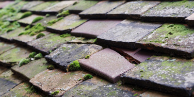 Ty Croes roof repair costs